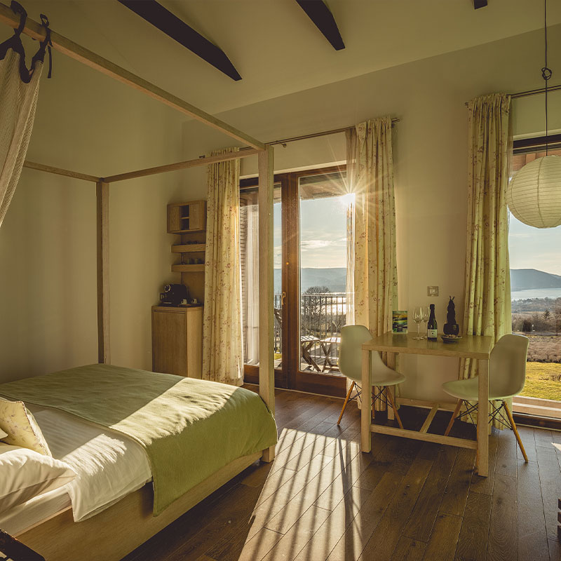Deluxe Double or Twin Room with River View