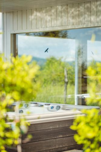 Deluxe Double or Twin Room with River View