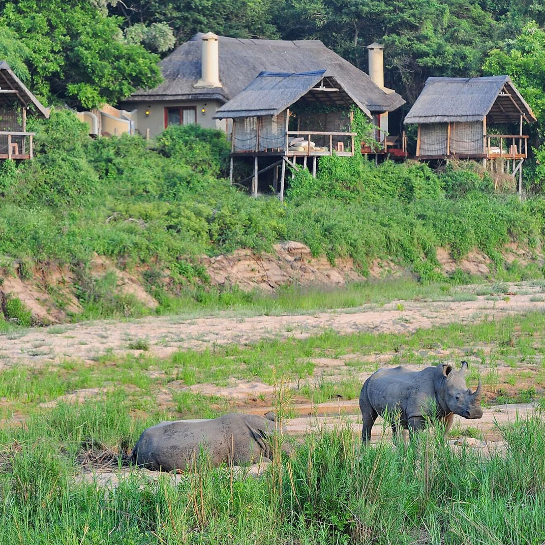 Jock Safari Lodge