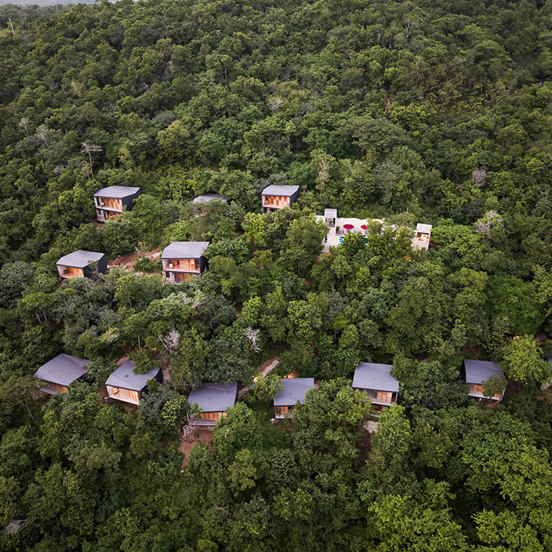 Premium Nature View