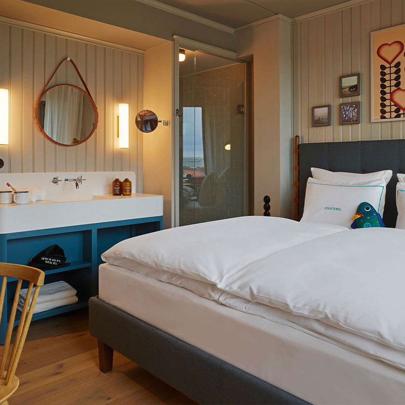 Large Plus room
