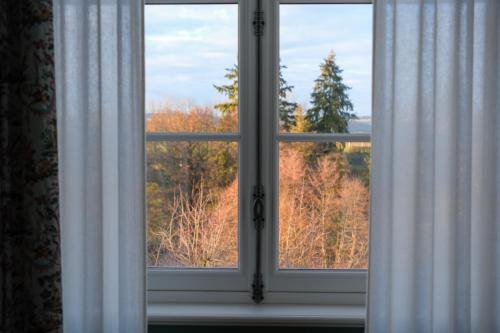 King Room with Lake View