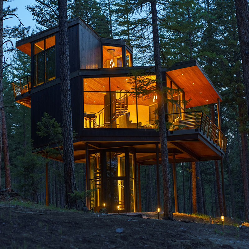 Tree Haus