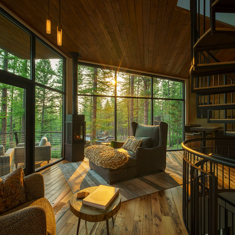 Tree Haus