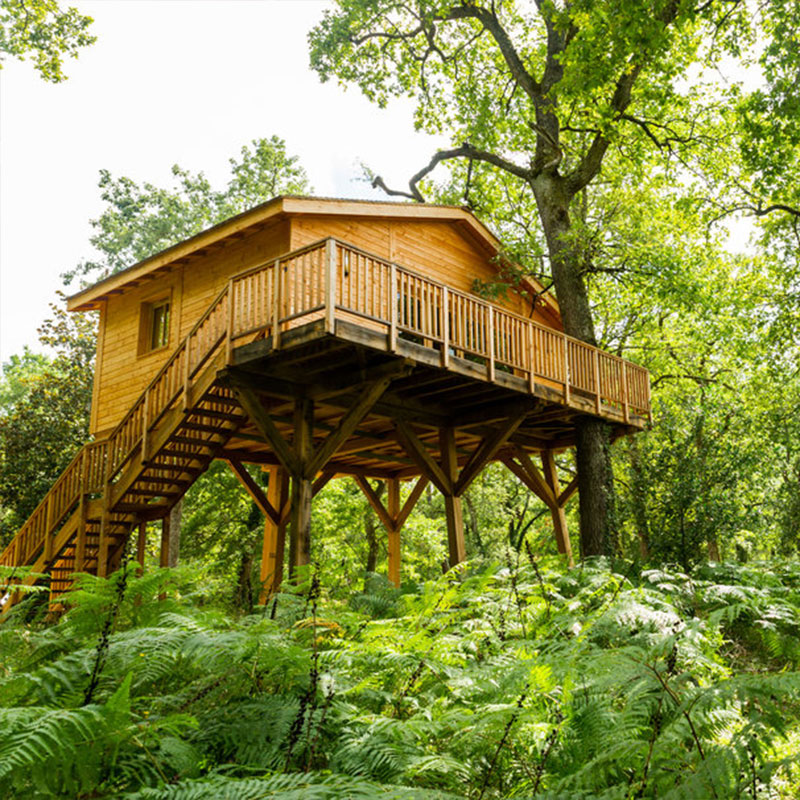 Cabane Perchée