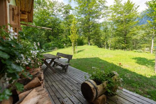 Chalet Studio GOVIC with Mountain - River View and Fireplace