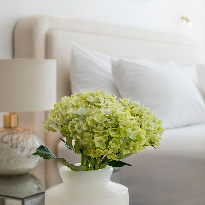 Acropolis Luxury Junior Suite