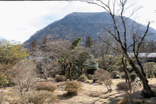 Exective Family Room with Hot Spring Open-Air Bath "Sensintei"
