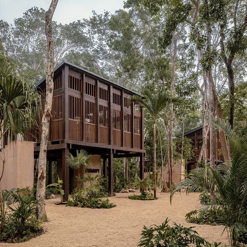 Jungle Treehouse