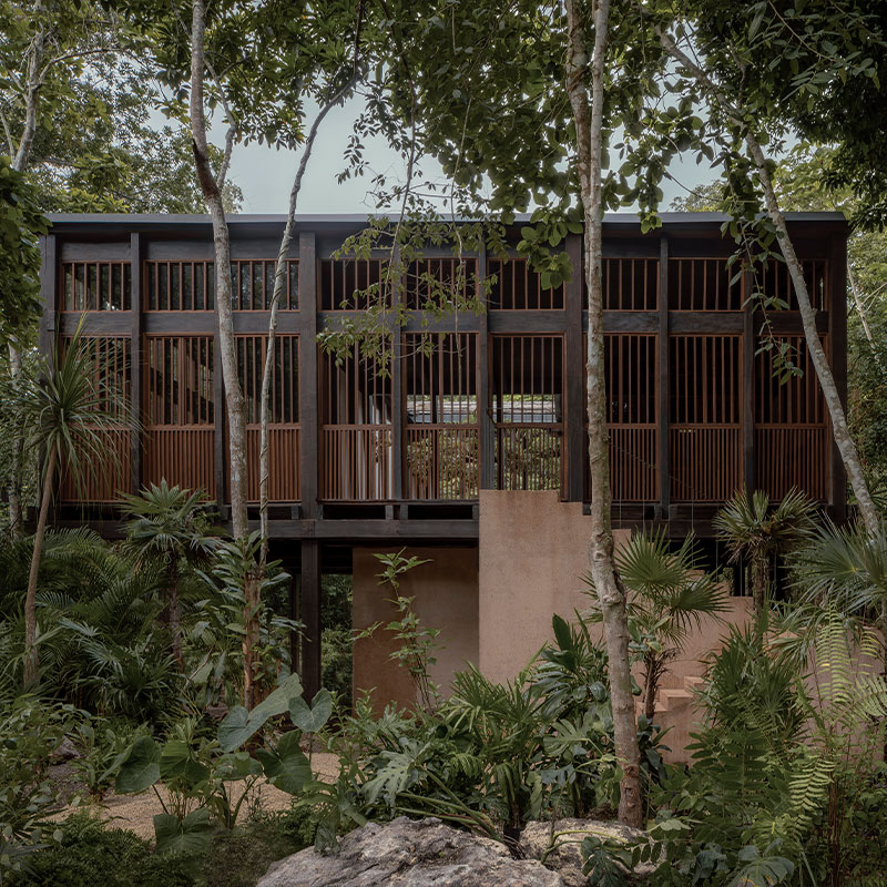 2 Bedroom Pool Treehouse