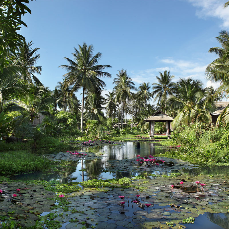 Lagoon Pool Villa