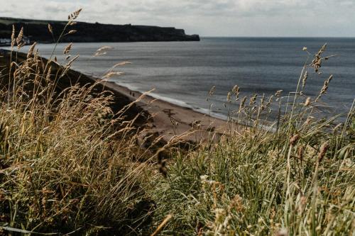 Water`s Edge Cottage (Pet Friendly)