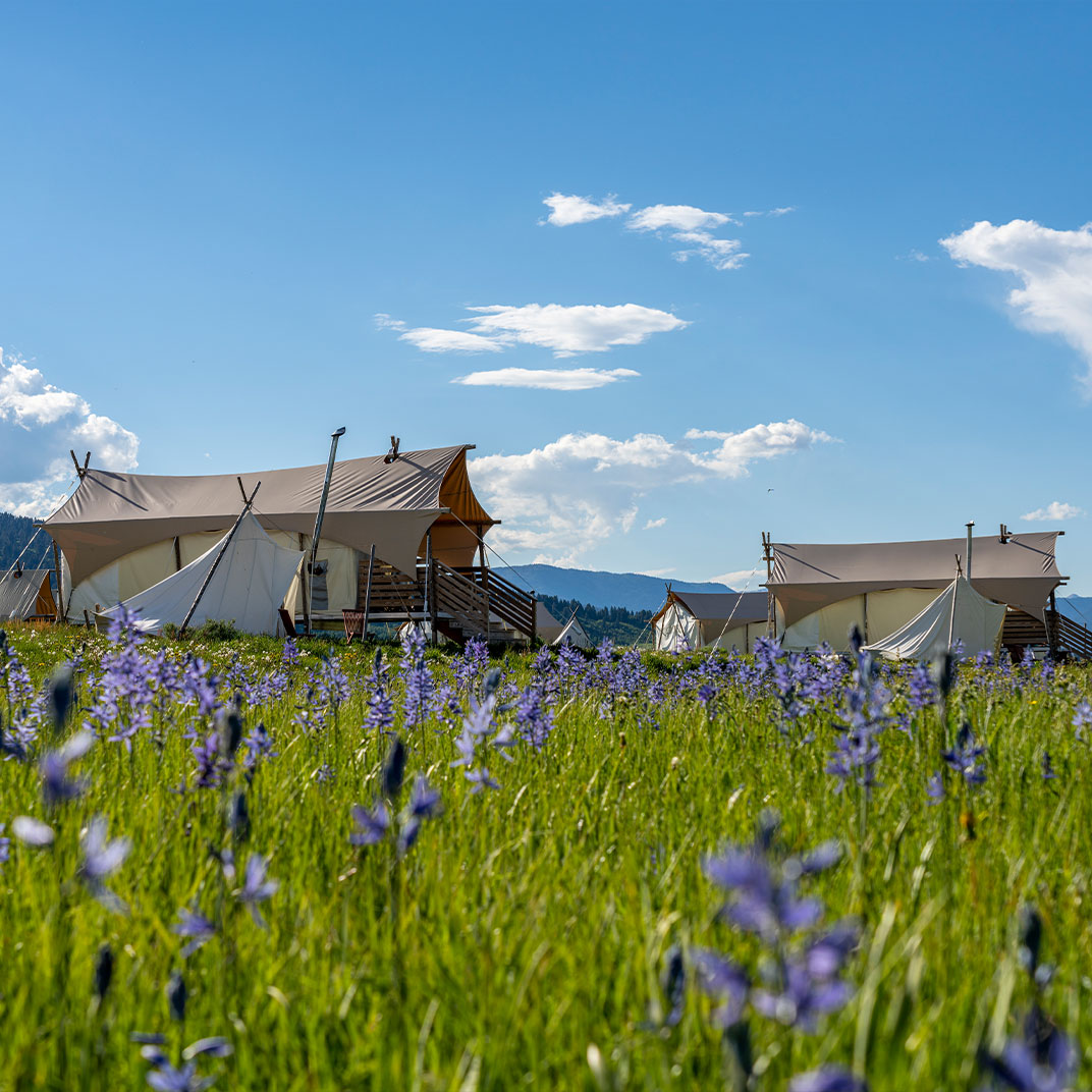 Under Canvas West Yellowstone