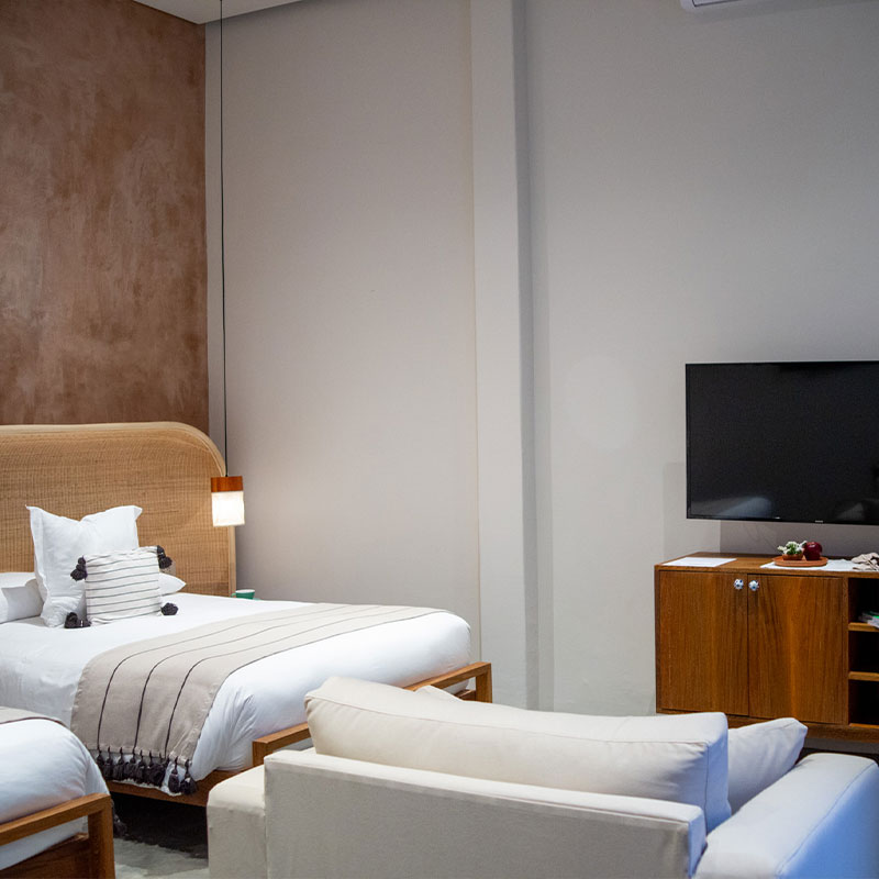 Antonieta Suite 5
