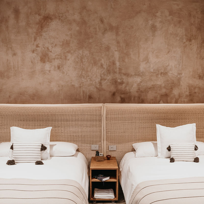 Antonieta Suite 5