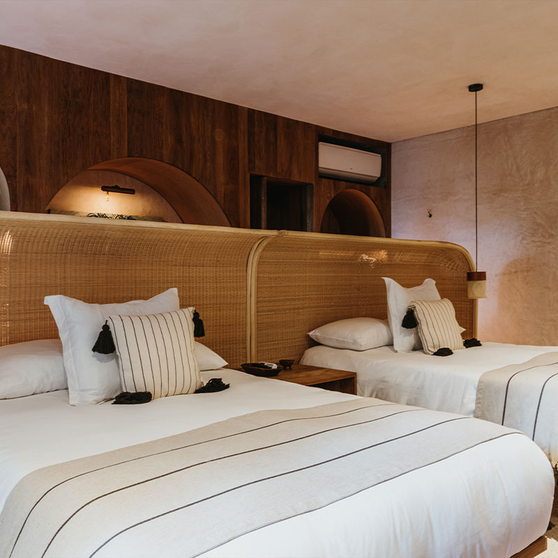 Antonieta Suite 16