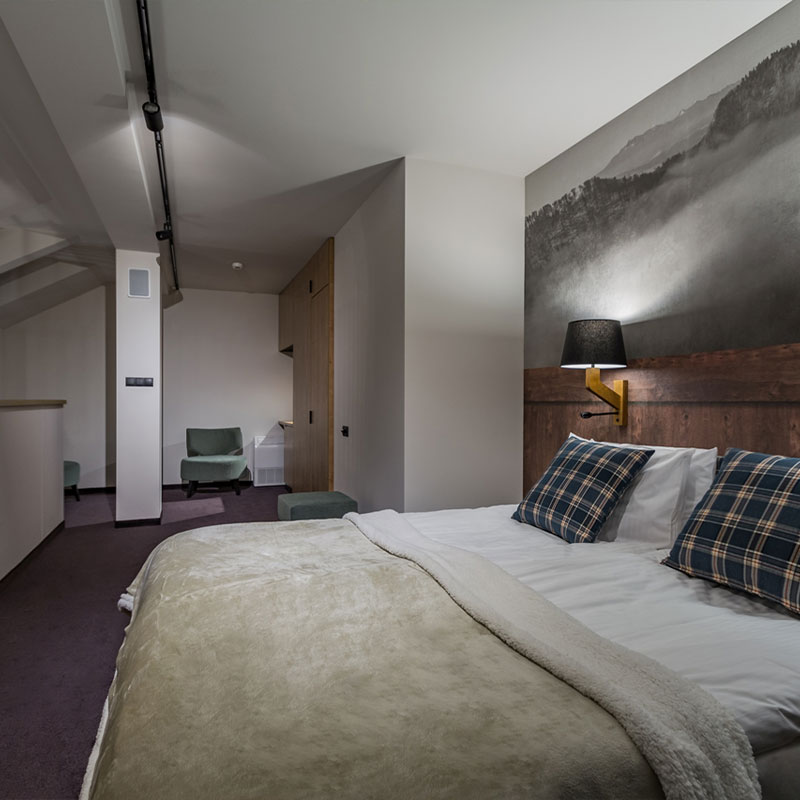 Executive Suite - Hotel
