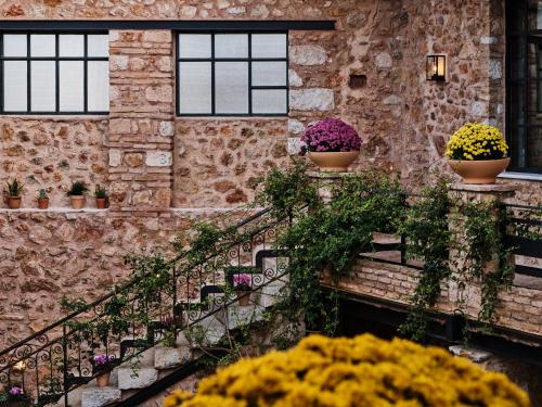 Lemon - Superior Courtyard Suite