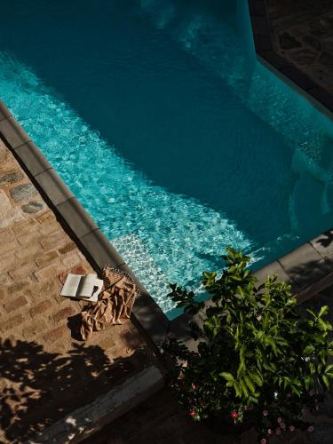 Daphne - Acropolis View Suite