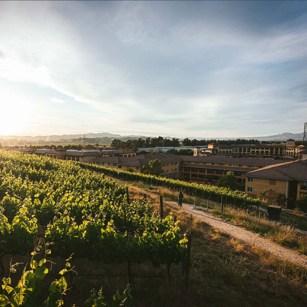 The Meritage Resort and Spa