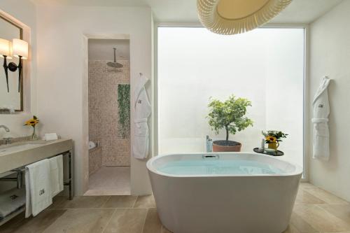 Deluxe Junior Suite with Terrace and Garden