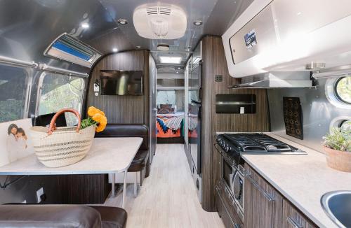 Deluxe Caravan Dog Friendly