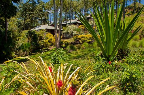 Piton Canot Exclusive Sea View Suite with Pool