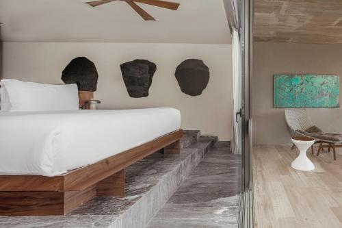 Wellness Suite