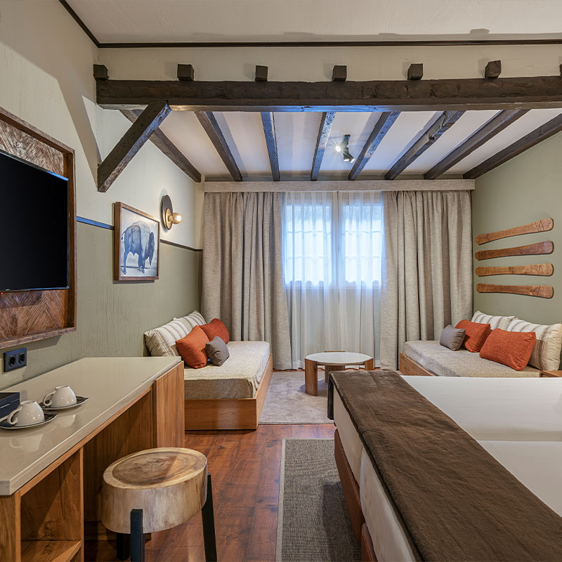 Superior Room Mountain View 2+2