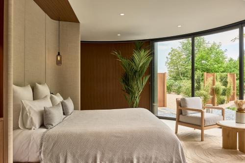 Suite with Hot Tub