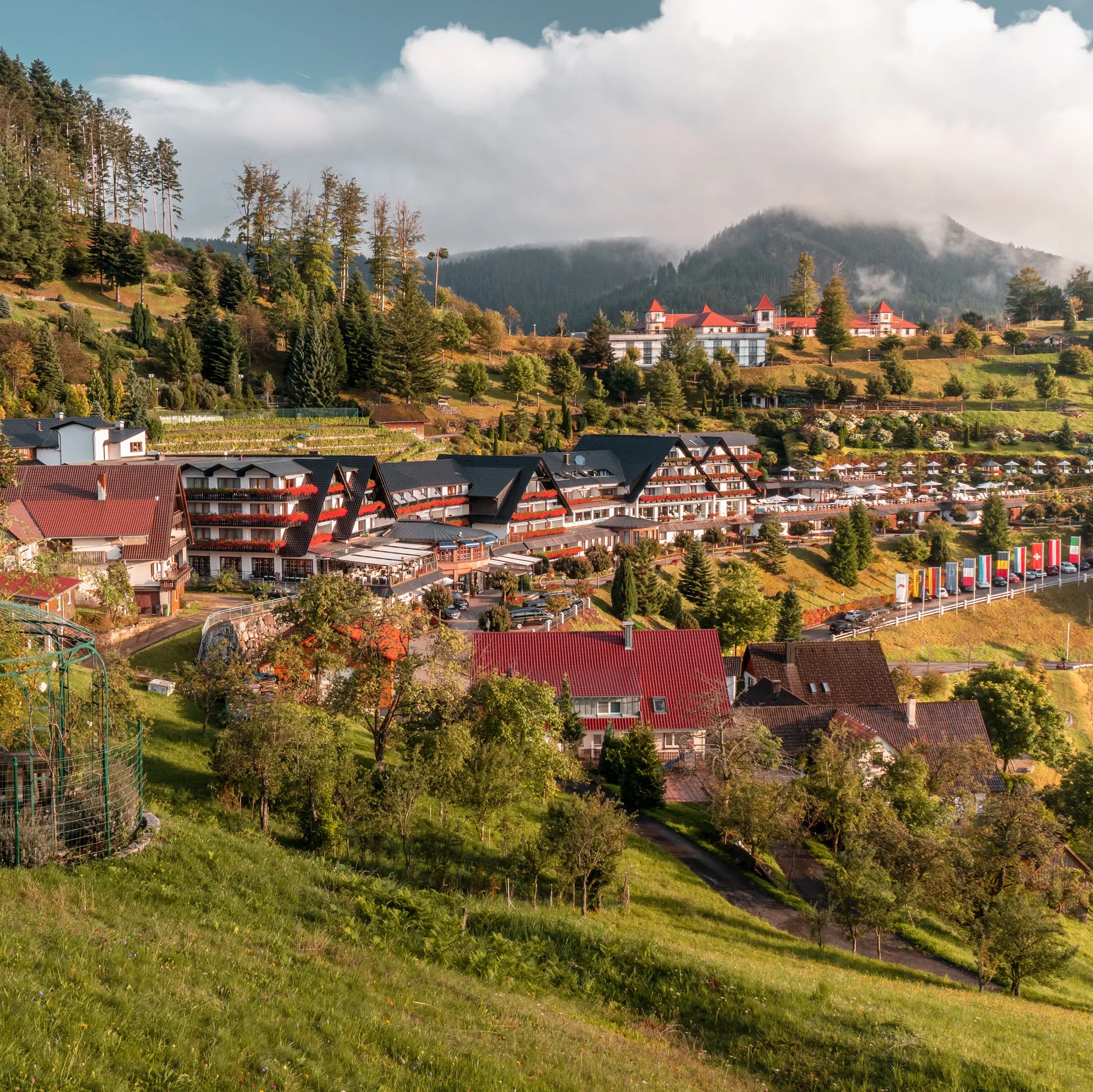 Hotel Dollenberg