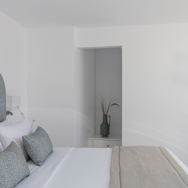 Junior Suite with Plunge Pool