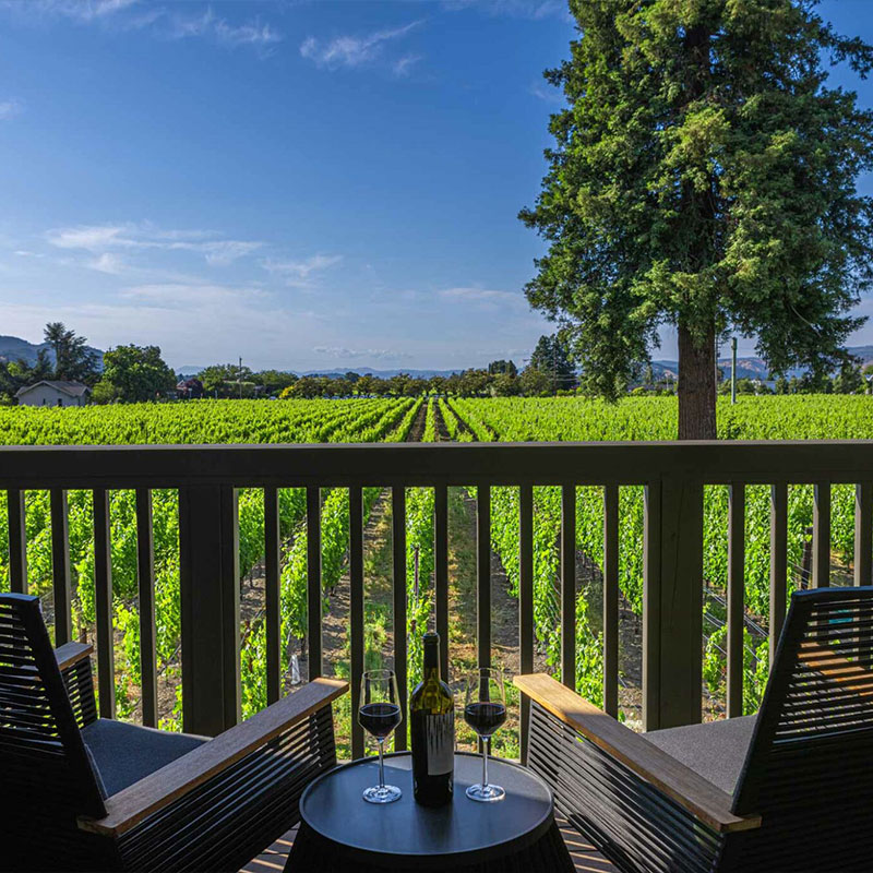 Vineyard King Suite