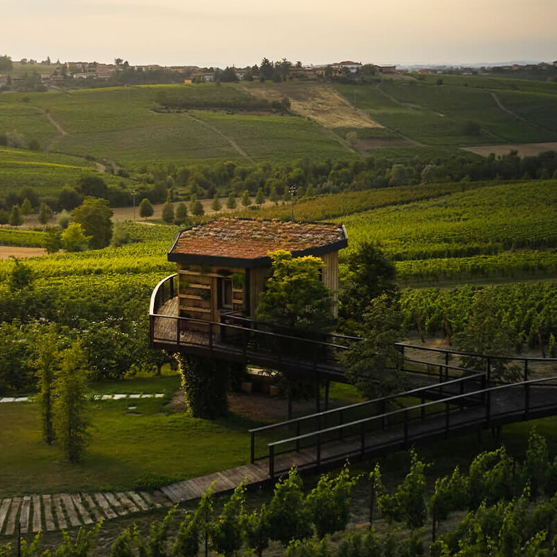 House in the vineyards