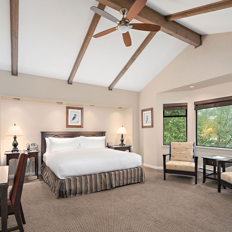 Arran Suite