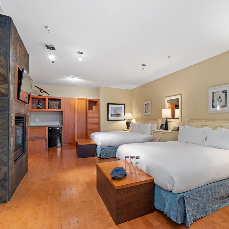 Bute Gold Suite