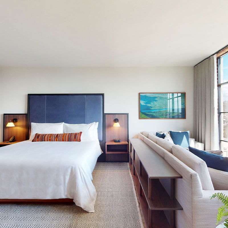 Premier King Suite