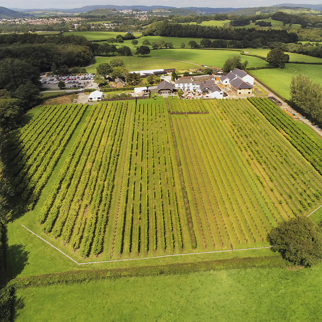 Llanerch Vineyard Hotel