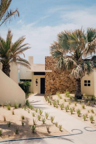 One-Bedroom Premium Suite - Beachfront