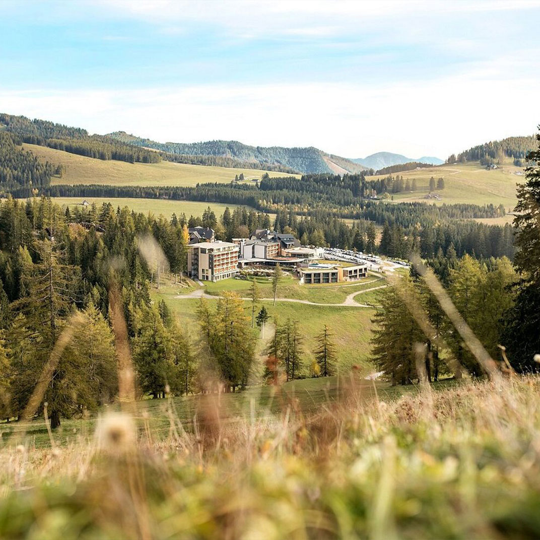 Almwellness Hotel Pierer
