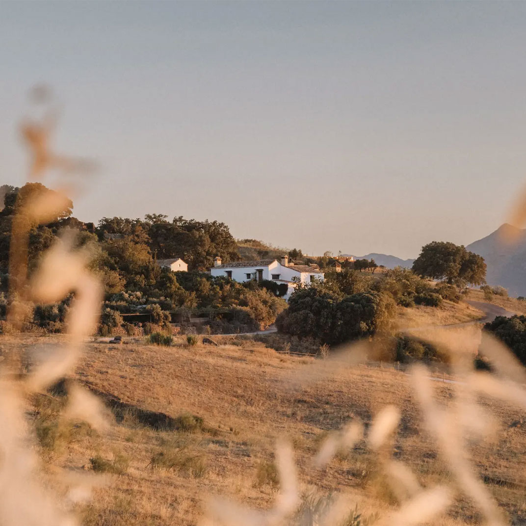 Finca La Donaira