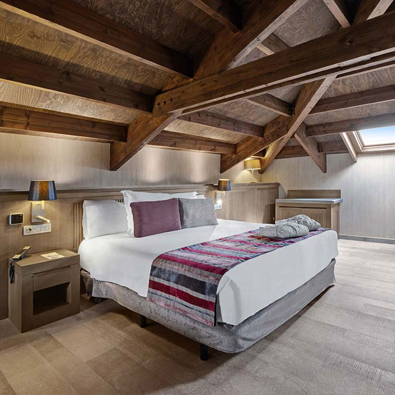 Attic Suite - Single Occupancy