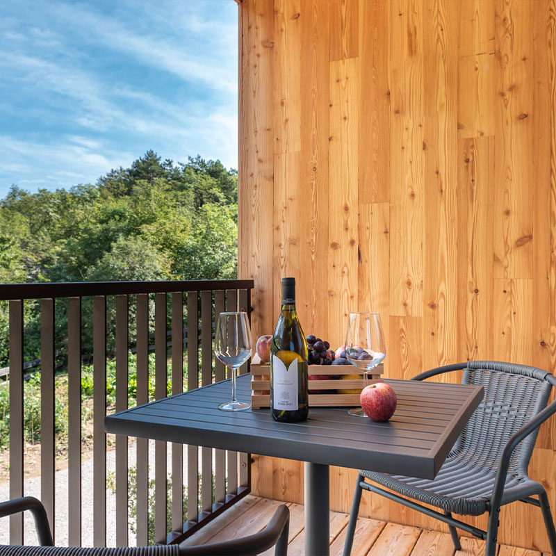 Élite Wellness Suite