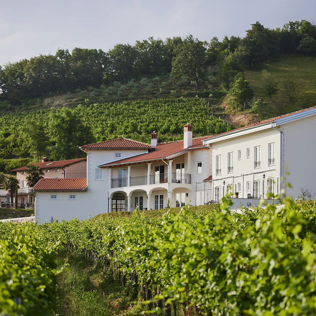 Peterc Vineyard Estate