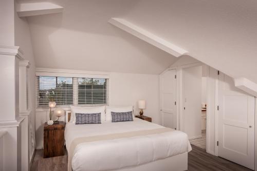 Superior King Suite