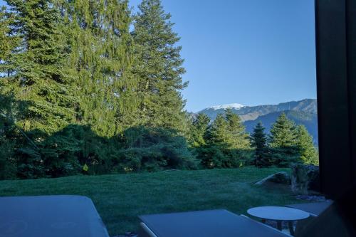 chalet