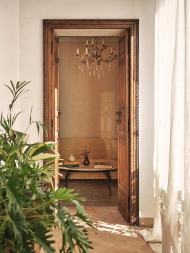 Junior Suite with Terrace
