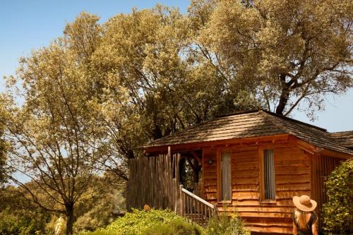Cabane dans les Arbres avec Jacuzzi