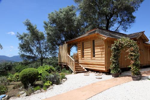 Cabane dans les Arbres avec Jacuzzi