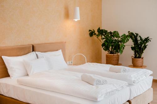 Double Room - Disability Access